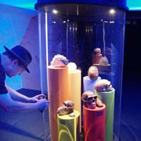 BF-Treffen_LG-20180506-0335-LeS-DSC00110q