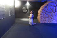 BF-Treffen_LG-20180506-0345-GaC-IMG_4148bearb