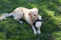 BF-Treffen_LG-20180506-0510-LeS-DSC00286