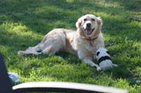 BF-Treffen_LG-20180506-0513-LeS-DSC00288